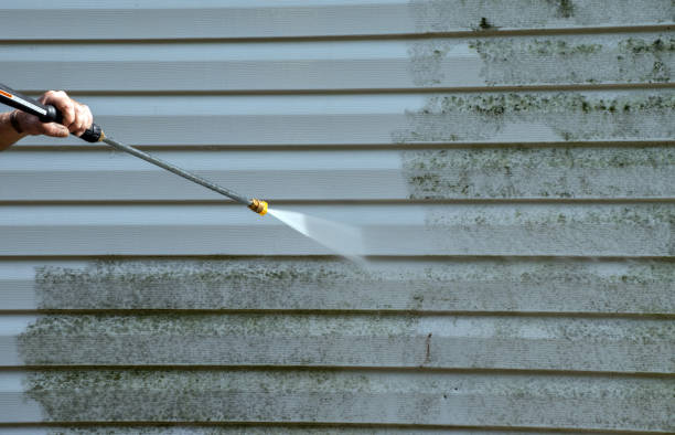 Solar Panel Cleaning in Nashville, AR